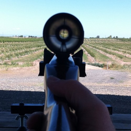 timmayKS's profile picture. golf, sun, family