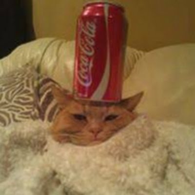 Ainteveronhere's profile picture. 