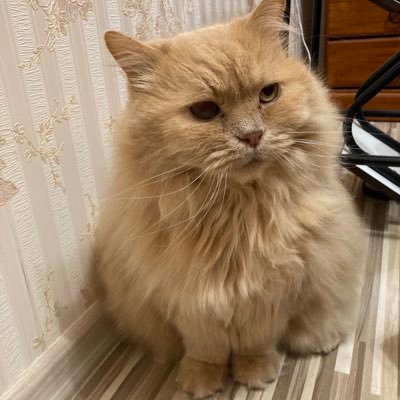 Eugene π«π·πΊπ¦ Profile