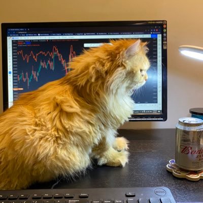 LoaiK's profile picture. English | عربي Tweets. Here to learn from other traders & make friends along the way. Interested in Quants and On-chain analysis. My cat always sits in my way.