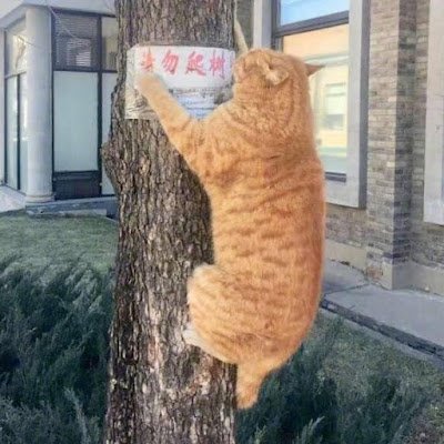 UxTxUis's profile picture. 