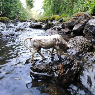 Part time farmer, citizen scientist and community water officer trying to improve his local streams through testing and action!  Also part of @wateremy team