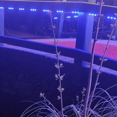 Adf91392908's profile picture. 