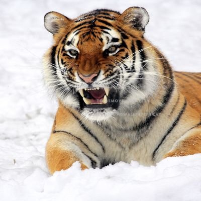 uTspd6iCJ9GWGHG's profile picture. 