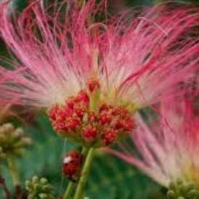 allegrabasile1's profile picture. Ai posteri. Sappiate che in tanti stiamo combattendo perché voi possiate restare liberi.
