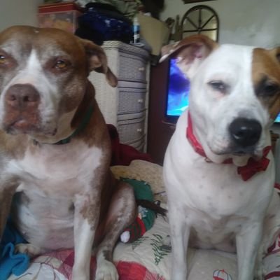 Marion97866391's profile picture. 