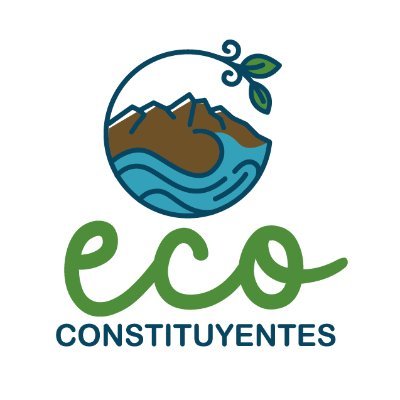 Exconvencionales @convencioncl empujando una EcoConstitución 🌎 #AhoraEsCuando #AprueboConEsperanza