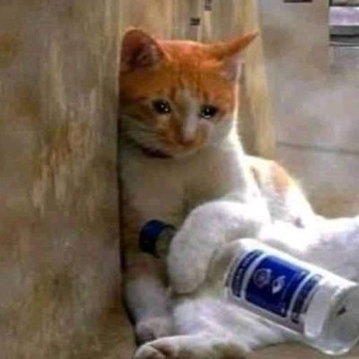 peter_boring's profile picture. Married, semi-retired, and a bit boring. I like numbers. And cheese.
Ex- #Mensan💡 Certified #Aspie🤔 #OU graduate🎓 #Randonneur🚲 and now officially Ꚙ I😍NHS💙