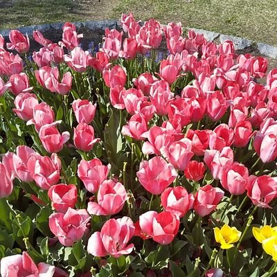 taratan18's profile picture. ビギ♥シャヲル💎
大人シズニ💚です。