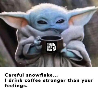 Here to be sarcastic and have fun. And if I can make someone laugh at the absurdity of Politics and politicians, then I can laugh with you.