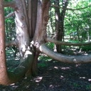 Val Moskalik - @ValWashingtonM - Twitter