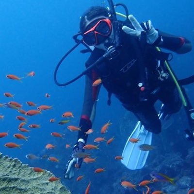 ダイビングアカウント🤿 / 社会人5年目 / PADI OWD&AWD&RED取得済 / 年内30本ペースの月1ダイバー🐟 情報収集の為ダイビング垢始めました🔰