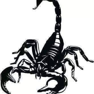 آسـگندرآني 🦂scorpio man🦂
آلعقرب آلمـصـري 💪
I am the Egyptian, the son of history. Egypt is for Egyptians only and against the presence of any nationality on