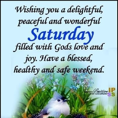 SurajNa42261506's profile picture. cooler