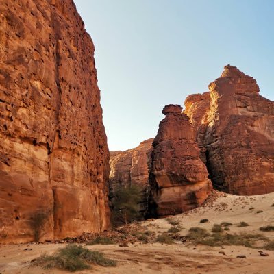 al_blowy's profile picture. 