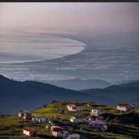 سدیس (@sdys91416972) 's Twitter Profile