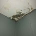 Bad Landlords YYT (@sjbadlandlords) Twitter profile photo Bad Landlords YYT (@sjbadlandlords) Twitter profile photo
