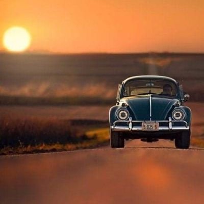 اذا كان الألم ضريبة العقل....!
فسحقا لسعادة شرطها الغباء...!
صغار يقتلون انفسهم من أجل علكة..!
وا عجباةةةةةةة...