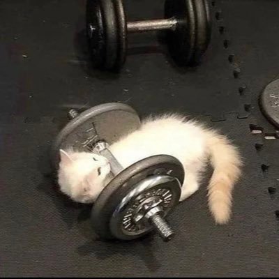 p0is0nbunny's profile picture. a commissionable artist, ฅ^•ﻌ•^ฅ twilight fan. ▼・ᴥ・▼