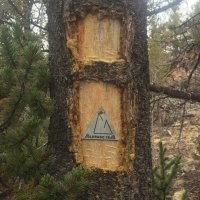 Mike King (@mikekingco) 's Twitter Profile Photo