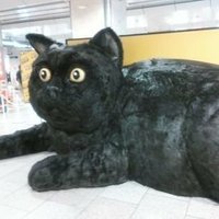 🎀久遠すーぱープンプンさま✝️ (@punpunplanet) Twitter profile photo
