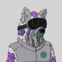 JenS ❤️ Memecoin (@jensern3) 's Twitter Profile