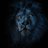 QLion1502's profile image