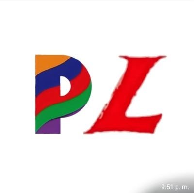 PedroLuisLib Profile Picture