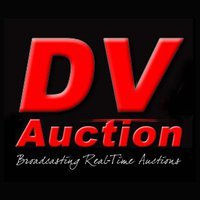 Internet Auction Bidding & Broadcast, Video, Photography, Web-based Advertising, The Stock Exchange News