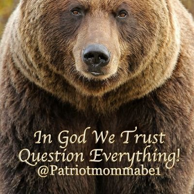 100% PATRIOT 🇺🇲🇺🇲🇺🇲, 🙏 In God We Trust. Question everything! 
TS-Patriots Unite!@Patriot_Mommabear