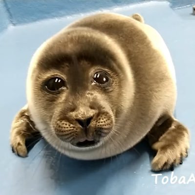 juicysaddam's profile picture. Beast … savage even | $now1616