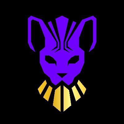 Amal07487402's profile picture. 