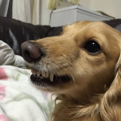 Ta_Yoshi0325's profile picture. 