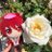 優夢🌻🌻さんのプロフィール画像