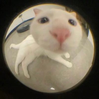 joexu328's profile picture. 