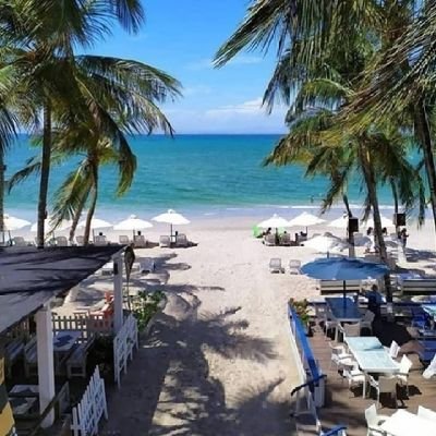 vuelo71's profile picture. Para seguirme debes tener +35 años y ser gordito !!!