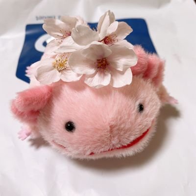 I_DIDNT_RQ's profile picture. 🍓💍👀ju+2

kirby btw

@MM_ooo015 btw