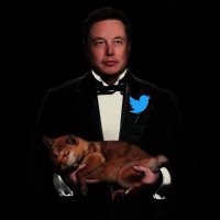 The Dogefather🌕(@dogefather_Twit) 's Twitter Profile Photo