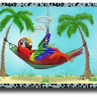 jeff potamis (@potamis) 's Twitter Profile