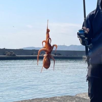 2021年10月より釣り始めました🎣釣ったら食べたいのでリリース前提の釣りは興味ありません。おかっぱり55%、手漕ぎボート45%、たま〜に友人プレジャー🛥。ルアー、エサ釣り両方やりますが最近は釣果優先でエサ釣り多めです。釣りは勿論自分で捌いて料理するのも好きです。