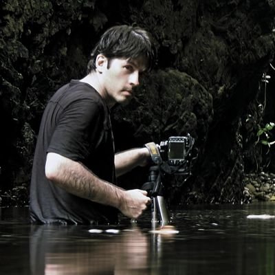 KristhianCastro's profile picture. Nature photographer. 📸
Fotógrafo de naturaleza.
🐝🐒🐦🐸🦉🦎🐜
Arquitecto. 🏡