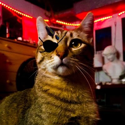 sbwarhead's profile picture. I'm tweeting into the void