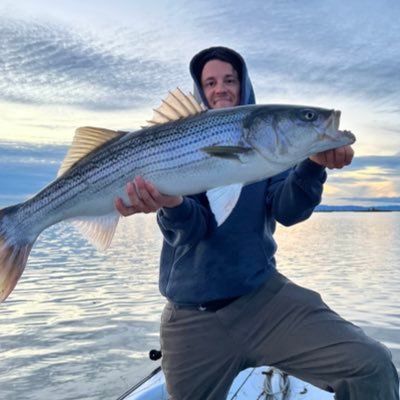 Advocate for a flourishing California Sacramento-San Joaquin Delta.
Healthy communities, ecosystems and fisheries of the valley rivers and Bay-Delta estuary