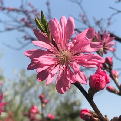 やつれ堂さんのプロフィール画像