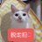 猫執事🌍のアイコン