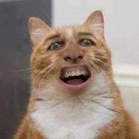 Alienshake (@bec16542087) 's Twitter Profile