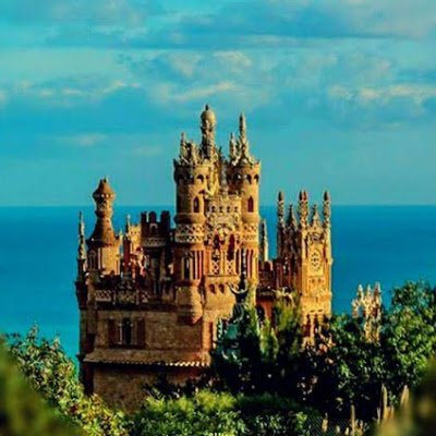 HollyWa00892705's profile picture. 