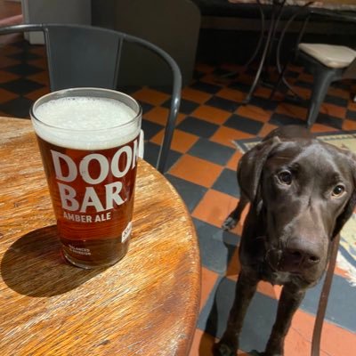 Bobert_theDog's profile picture. 