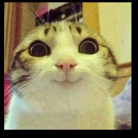 PozitifSMMMgrubu (@pozitifsmmm) 's Twitter Profile