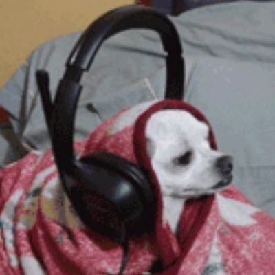 khaboninaaa's profile picture. whatever //

https://t.co/BQB84YsIIx